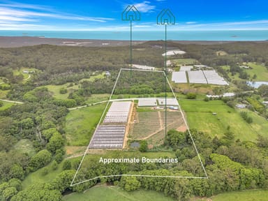 Property 289 Mardells Road, Bucca NSW 2450 IMAGE 0