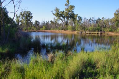 Property 516 Jacks Creek Road, NARRABRI NSW 2390 IMAGE 0