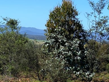 Property Lot 2 Wadleys Road, Reedy Marsh TAS 7304 IMAGE 0