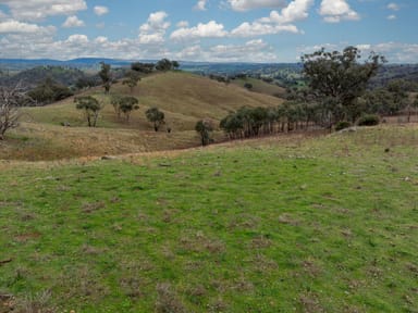 Property Gowan Green Road, Bakers Swamp NSW 2820 IMAGE 0