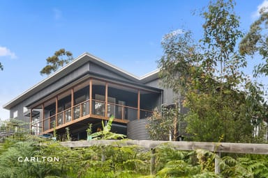 Property 18 Carlton Street, Willow Vale NSW 2575 IMAGE 0
