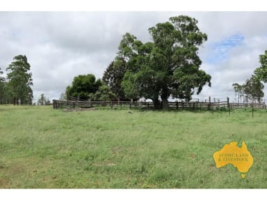 Property 1377 Dangore Mountain Road, DANGORE QLD 4610 IMAGE 0