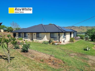 Property 35-37 Eagle Street, Gundagai NSW 2722 IMAGE 0