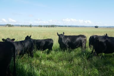 Property 150 Fairy Hill Station Rd, Casino NSW 2470 IMAGE 0