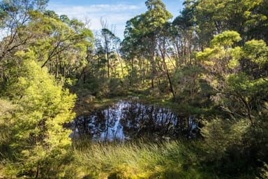 Property 12 Green Hill Lane, Wyndham NSW 2550 IMAGE 0