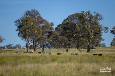 Property 778 Torryburn Road, Uralla NSW 2358 IMAGE 0