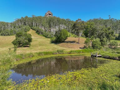 Property 297 Koppin Yarratt Road, UPPER LANSDOWNE NSW 2430 IMAGE 0