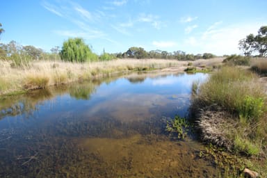 Property 199 Stabiles Rd, Severnlea QLD 4380 IMAGE 0