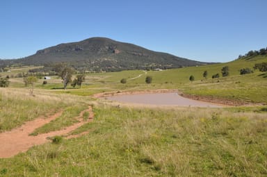 Property Rouchel Gap Rd Rouchel Gap Rd, Mccullys Gap NSW 2333 IMAGE 0