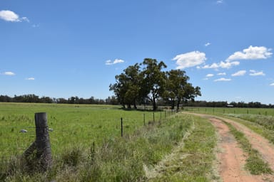 Property 3418 Castlereagh Hwy, Breelong NSW 2827 IMAGE 0