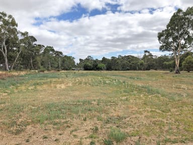 Property 125 Heinz Street, East Bendigo VIC 3550 IMAGE 0
