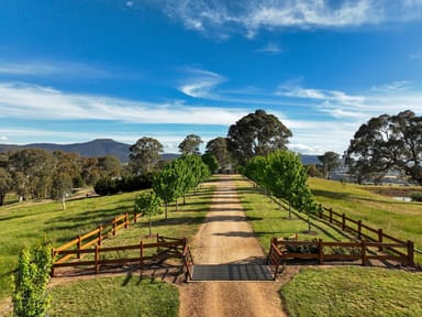 Property 224 Purcells Road, Merrijig VIC 3723 IMAGE 0