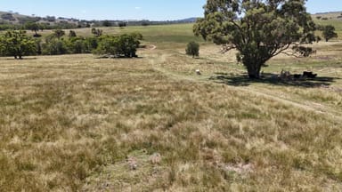Property 190 BROWN SPRINGS ROAD, COOLAH NSW 2843 IMAGE 0