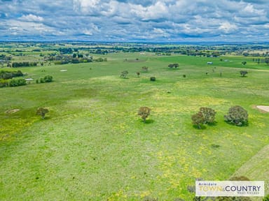 Property Lot 8 The "J.T Frazier Land Estate" Mundays Lane, ARMIDALE NSW 2350 IMAGE 0