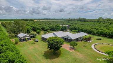 Property 137 Darlingtons Road, Calavos QLD 4670 IMAGE 0