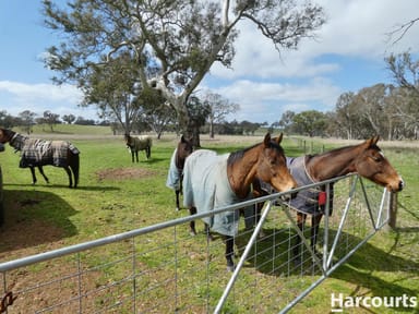 Property 1790 Harrow-Balmoral Road, BALMORAL VIC 3407 IMAGE 0