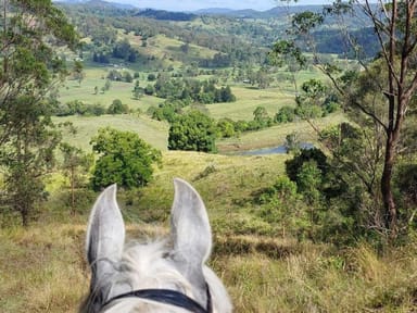 Property 18 Gardner Road, Jiggi NSW 2480 IMAGE 0