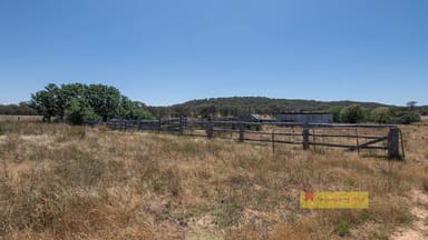 Property 1/1921 Barneys Reef Road, Gulgong NSW 2852 IMAGE 0