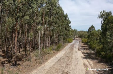 Property Lot 1 Thomson Road, LAKE MUIR WA 6258 IMAGE 0