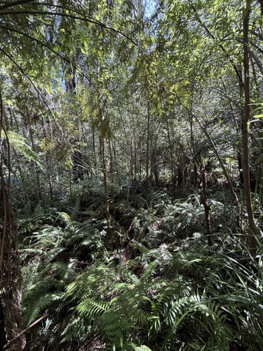 Property 355 Ninks Road, St Andrews VIC 3761 IMAGE 0
