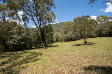 Property 1 & 2, WOMBAT GULLY ROAD, MITTA MITTA VIC 3701 IMAGE 0