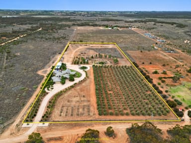 Property 236 Dal Farra Road, Cardross VIC 3496 IMAGE 0