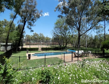 Property 667 Gwydir Highway, MOREE NSW 2400 IMAGE 0