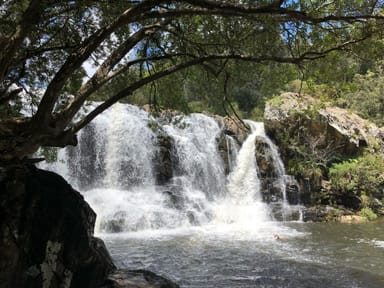 Property 884 Camp Creek Road, Lowanna NSW 2450 IMAGE 0