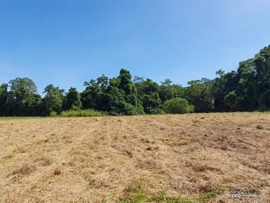 Property LOT 20 Barbagallo Road, Aloomba QLD 4871 IMAGE 0