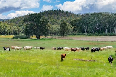 Property 1124 WARKTON Road, Coonabarabran NSW 2357 IMAGE 0