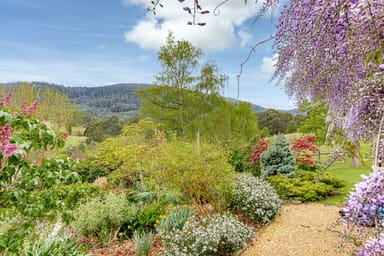 Property 212 Sawyers Creek Road, MOUNTAIN RIVER TAS 7109 IMAGE 0