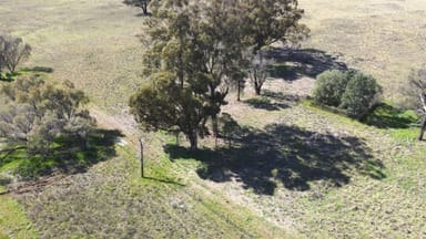 Property Lot 1 Roseholm Road, PEAK HILL NSW 2869 IMAGE 0