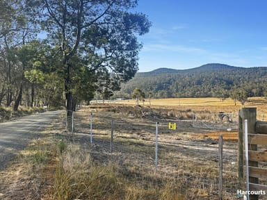 Property Lot 1, Rosedale Road, BICHENO TAS 7215 IMAGE 0