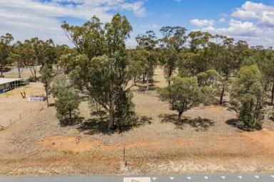 Property 9 Namoi Street, Boree Creek  IMAGE 0