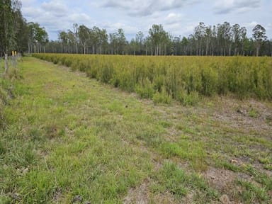 Property Tatham NSW 2471 IMAGE 0