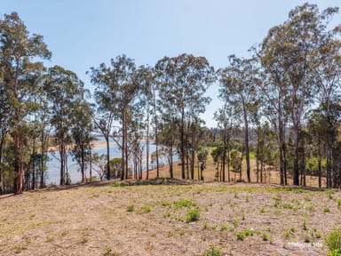 Property Lot 6 'Pittosporum Place', Boyd Road Kiah Via, Eden NSW 2551 IMAGE 0