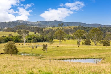 Property 117 Norries Road, BUNYAH NSW 2429 IMAGE 0