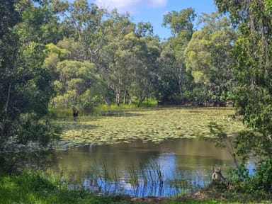 Property 6 Ironwood Avenue, COOKTOWN QLD 4895 IMAGE 0