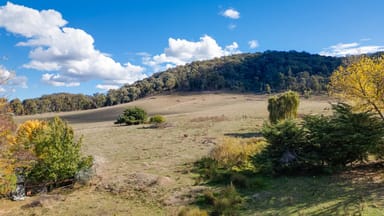 Property 84 Twist Creek Road, YACKANDANDAH VIC 3749 IMAGE 0