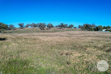 Property 141 Wallabadah Road, Wallabadah NSW 2343 IMAGE 0