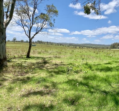 Property 5454 Mount Lindesay Road, LISTON NSW 2372 IMAGE 0