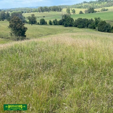 Property 2047 The Bucketts Way, Weismantels NSW 2415 IMAGE 0