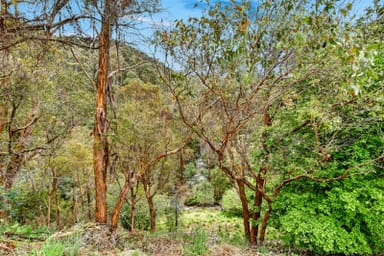 Property 7438 Mansfield-Woods Point Road, Gaffneys Creek  IMAGE 0