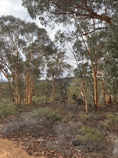 Property 155 Wandoo Cir, Toodyay WA 6566 IMAGE 0