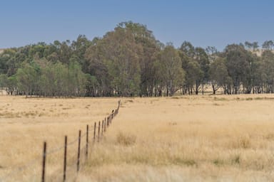 Property 785D Highlands Road, WHITEHEADS CREEK VIC 3660 IMAGE 0