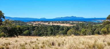 Property 2, 10923 Tasman Highway, Little Swanport TAS 7190 IMAGE 0