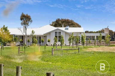 Property 506 Bungaree-Creswick Road, Pootilla VIC 3352 IMAGE 0