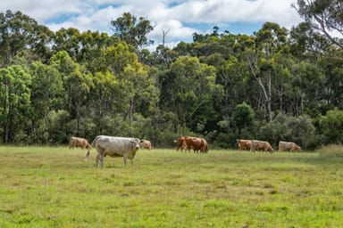 Property Bapaume QLD 4352 IMAGE 0