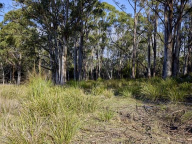 Property Lot 1, 233 Ferndale Road, BICHENO TAS 7215 IMAGE 0