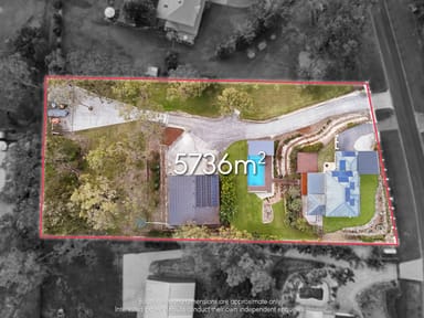 Property 31 Leaver Court, Ormeau QLD 4208 IMAGE 0